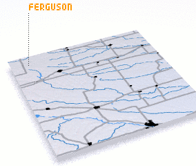 3d view of Ferguson