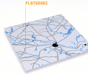 3d view of Flatwoods