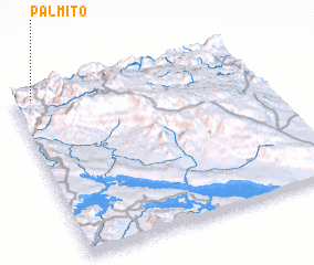 3d view of Palmito