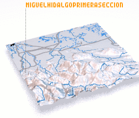 3d view of Miguel Hidalgo Primera Sección
