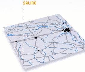 3d view of Saline