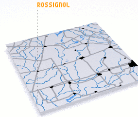 3d view of Rossignol