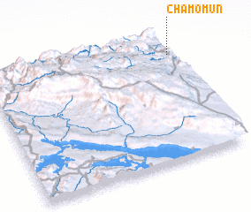 3d view of Chamomún