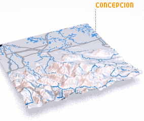 3d view of Concepción