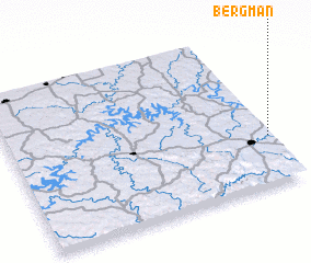 3d view of Bergman