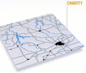 3d view of Charity