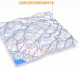 3d view of Concepción Capota