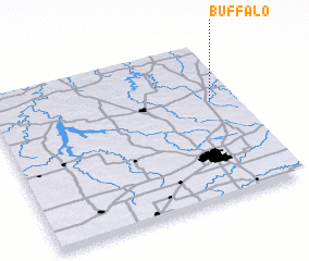 3d view of Buffalo