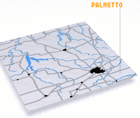 3d view of Palmetto