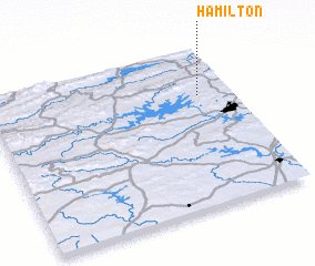 3d view of Hamilton