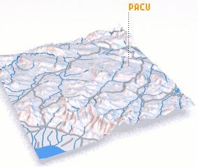 3d view of Pacú