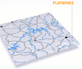 3d view of Flatwoods