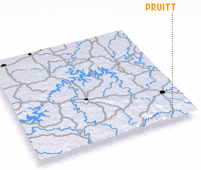 3d view of Pruitt