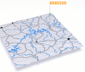 3d view of Branson