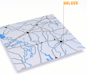 3d view of Walker