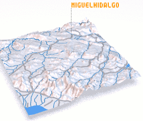 3d view of Miguel Hidalgo