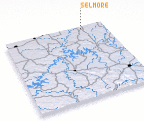 3d view of Selmore