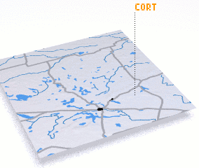 3d view of Cort