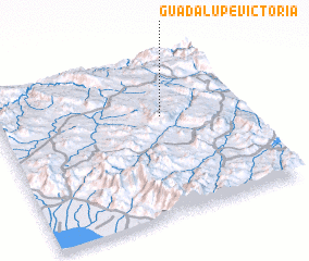 3d view of Guadalupe Victoria