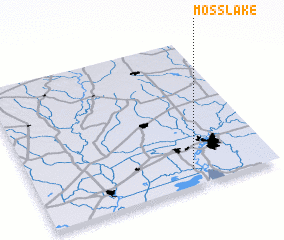 3d view of Moss Lake