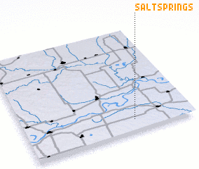 3d view of Salt Springs