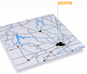 3d view of Griffin