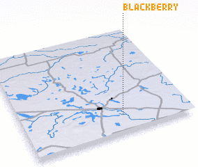 3d view of Blackberry