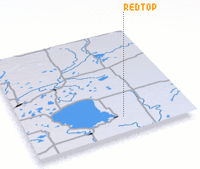 3d view of Redtop
