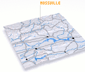 3d view of Mossville