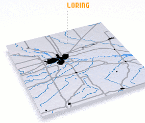 3d view of Loring