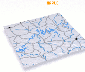 3d view of Maple