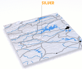 3d view of Silver