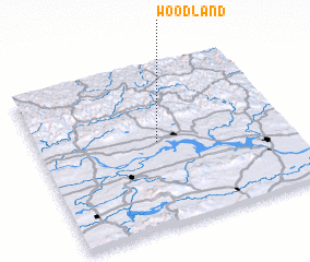 3d view of Woodland