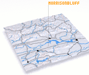 3d view of Morrison Bluff