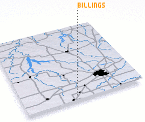 3d view of Billings