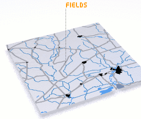 3d view of Fields