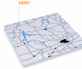 3d view of Raney