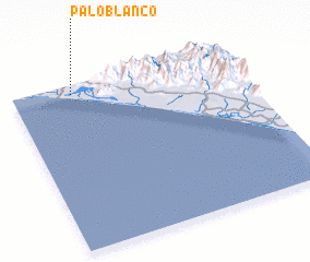 3d view of Palo Blanco