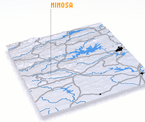 3d view of Mimosa