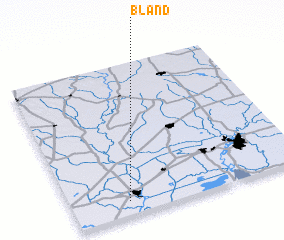 3d view of Bland