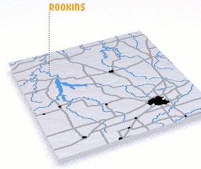 3d view of Rookins