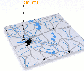 3d view of Pickett