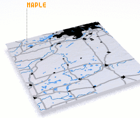 3d view of Maple