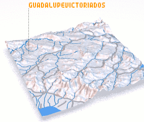 3d view of Guadalupe Victoria Dos