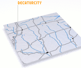 3d view of Decatur City