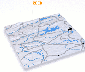 3d view of Reed