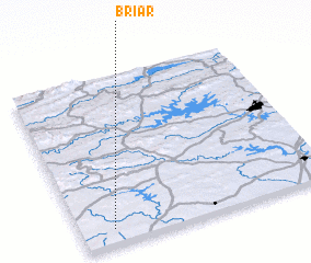 3d view of Briar