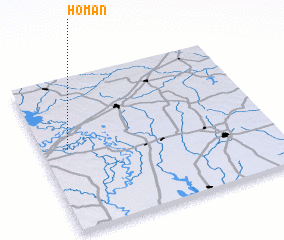 3d view of Homan