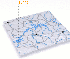 3d view of Bland