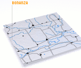 3d view of Bonanza